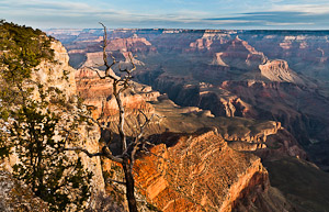 Yavapai Point, South Rim of Grand Canyon National Park, Arizona, USA.