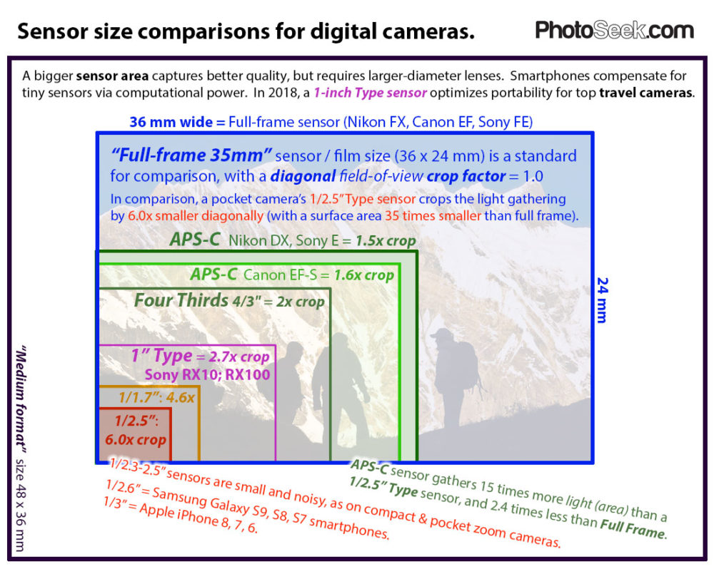 Compare camera sensor sizes: full frame 35mm, APS-C, 4/3, 1", 1/1.7", 1