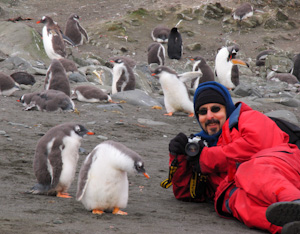 Photographing curious Gentoo penguin chicks, Aicho Island, Antarctica.