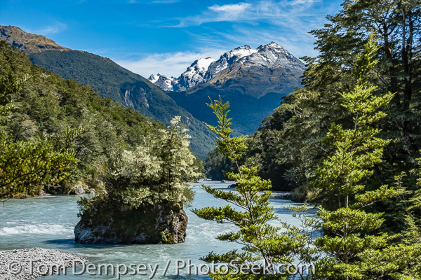 Hedin Peak rises above a tree-dotted island in Dart River on Rees-Dart Track. Mount Aspiring NP, New Zealand.