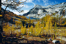 From Prusik Pass, view Enchantment Basin, golden larch trees in October, Enchantment Lakes, and Little Annapurna in the Stuart Range of Alpines Lakes Wilderness Area, accessible by trail from Icicle Creek Road, near Leavenworth, Washington, USA.
