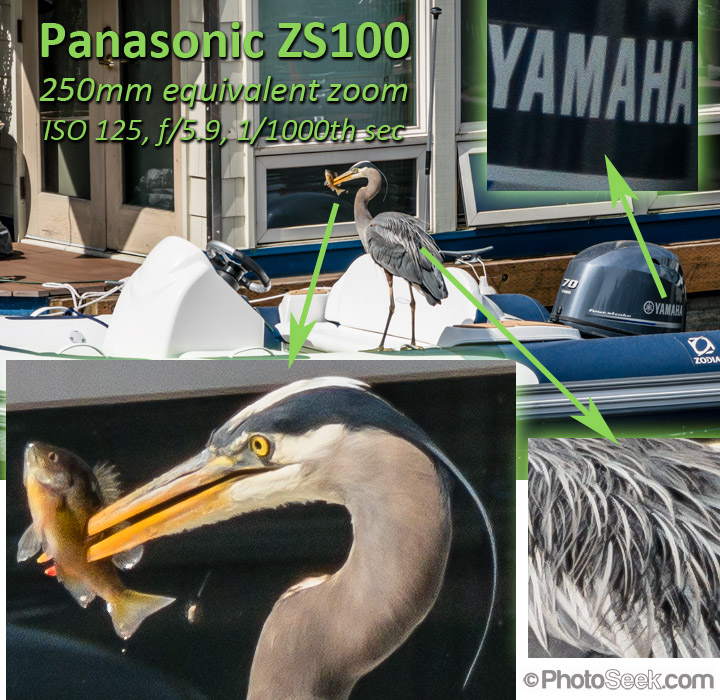 Panasonic ZS100 shot at 250mm